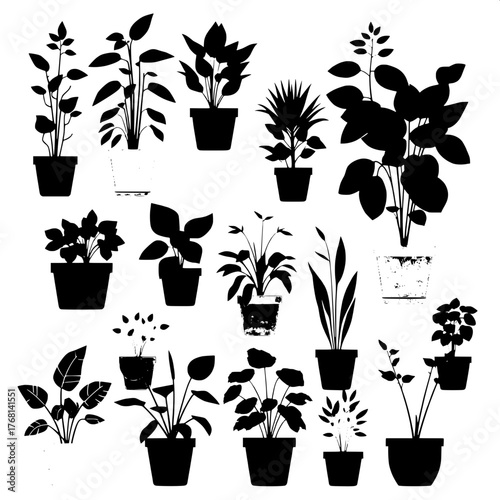 Flat vector silhouettes of houseplants in pots, arranged on a white background. Each plant differs in leaf shape and structure. The layout is organized and geometric, conveying simplicity and modern b