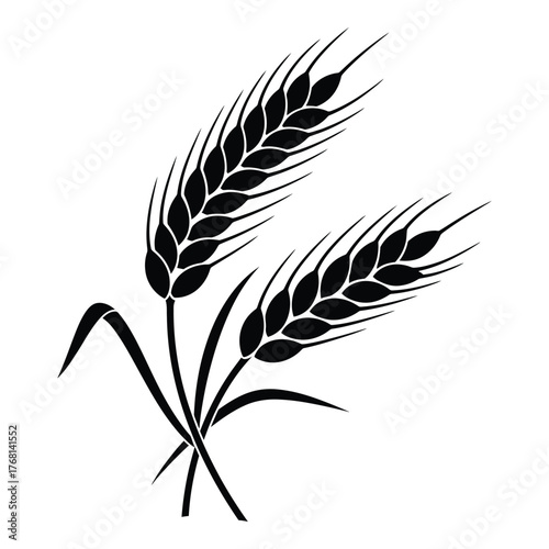 Artistic representation of two wheat stalks in a simple black and white design silhouette