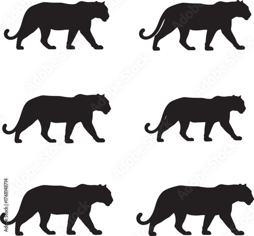 Set of solid black panther silhouettes in various walking poses on a white background