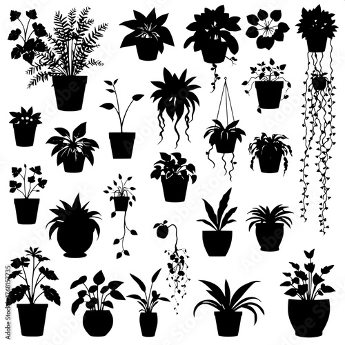 Overhead view of diverse potted plants illustrated as black silhouettes on white. The plants include leafy ferns, succulents, and hanging vines. Each pot shape is unique. The layout is grid-based, fla