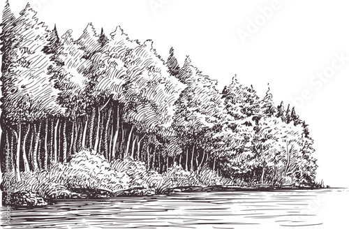 Black and white ink sketch of dense forest edge by water trees nature