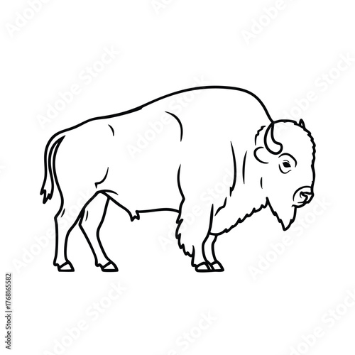Line drawing of a majestic bison standing on a plain with detailed features and expressive eyes, emphasizing its powerful physique and thick fur