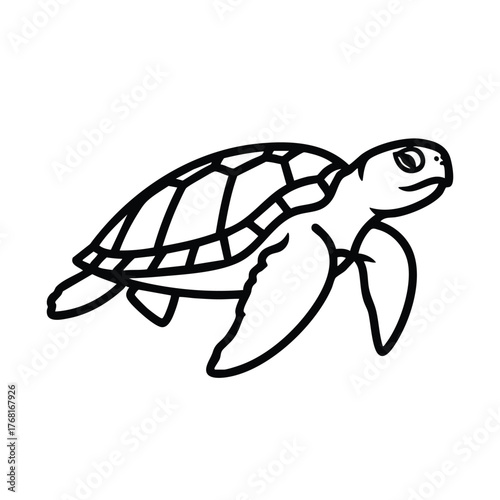 Cute baby turtle with detailed shell and flippers swimming in the water, showcasing marine life and aquatic animals in a natural setting