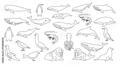 Collection of outline drawings of marine animals, including whales, dolphins, penguins, and seals.
