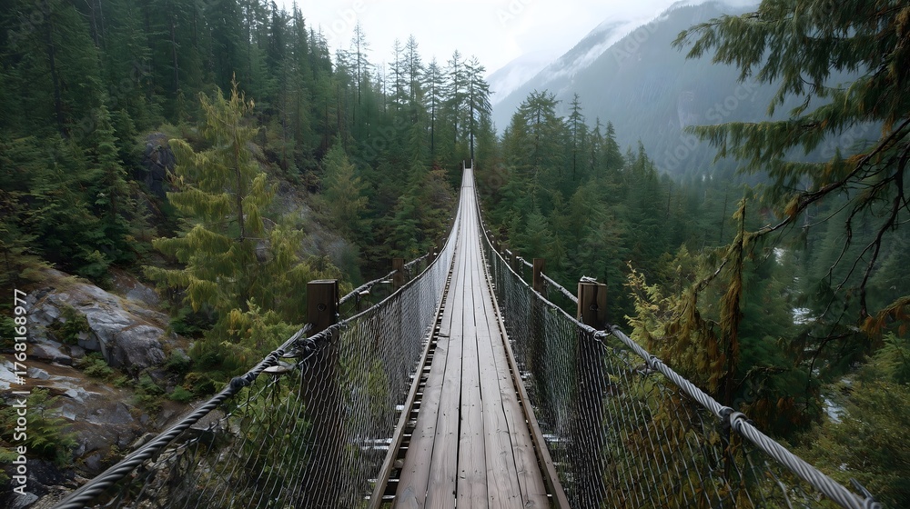 Fototapeta premium Misty Mountain Hanging Bridge