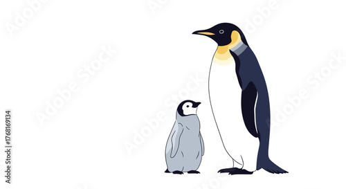 Illustration of an adult emperor penguin standing next to its much smaller chick against a white background.