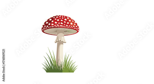 A solitary red and white spotted mushroom, known as an amanita muscaria, grows in green grass.