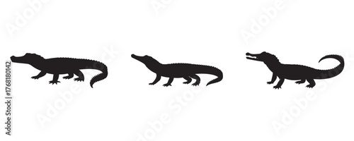Set of three black crocodile or alligator silhouettes isolated on white background. Vector illustration of reptile animal shapes in different walking and resting poses
