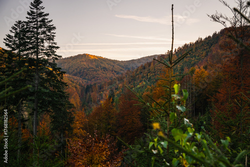 Fototapeta Naklejka Na Ścianę i Meble -  A mountain covered in trees with a blue sky in the background - Beskids Mountains, Poland