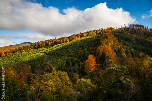 Fototapeta Naklejka Na Ścianę i Meble -  A mountain covered in trees with a blue sky in the background - Beskids Mountains, Poland