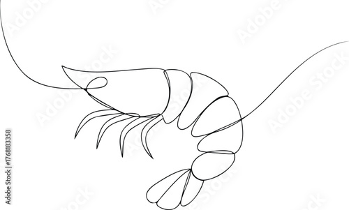 Single line drawing of a shrimp prawn seafood