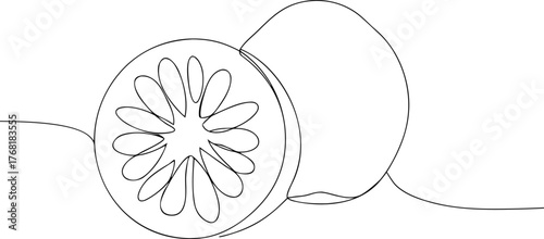 Single line drawing of a whole and sliced grapefruit