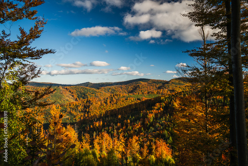 Fototapeta Naklejka Na Ścianę i Meble -  A mountain covered in trees with a blue sky in the background - Beskids Mountains, Poland