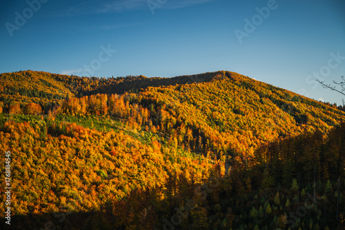 Fototapeta Naklejka Na Ścianę i Meble -  A mountain covered in trees with a blue sky in the background - Beskids Mountains, Poland