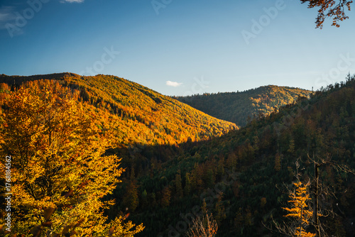 Fototapeta Naklejka Na Ścianę i Meble -  A mountain covered in trees with a blue sky in the background - Beskids Mountains, Poland