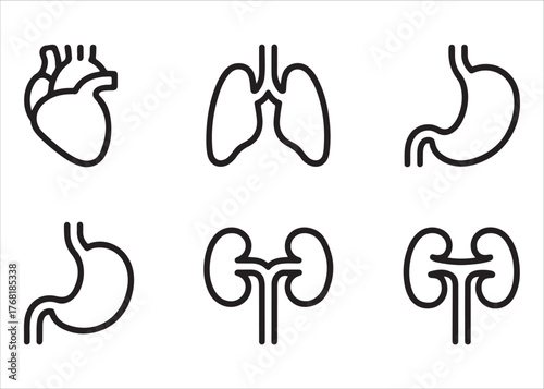  Set of six simple outline icons representing human internal organs for medical illustration