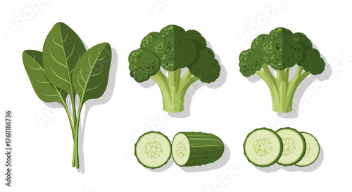Healthy eating with fresh broccoli, spinach, and cucumbers, perfect for a vibrant salad or nutritious meal, made with clean, eye-catching vector design