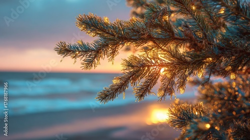 Christmas tree branch with ice at sunrise beach