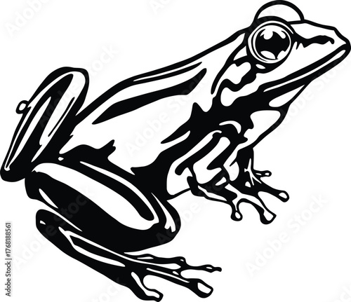 Monochrome Illustration of a Crouching Frog with Prominent Eyes and Stylized Musculature Depicted in a Bold Black and White Design Emphasizing Dynamic Posture