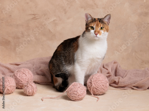 vintage cat