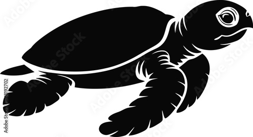 Black sea turtle silhouette swimming white