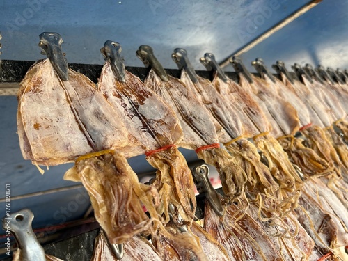 Rolled and grilled squid, dried squid hanging on a cart. Thai street food