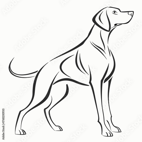 vector illustration of a dog