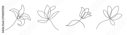 Four abstract line art sketches of delicate yucca flowers with detailed petal structures