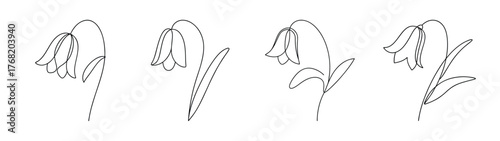 Delicate bluebell flower sketch line art botanical study detail