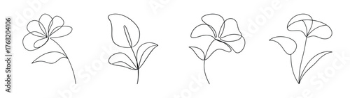 Four delicate line art drawings of different flower blossoms in soft sketch style