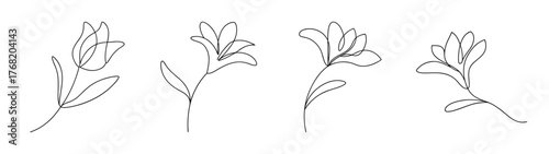 Four delicate line art sketches of blooming tuberose flowers with leaves and stems