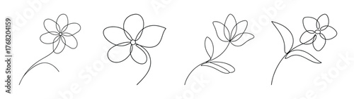 Delicate veronica speedwell flowers delicate botanical sketch minimalist line art