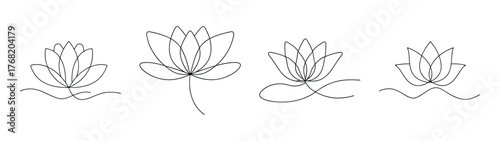 Four detailed black and white water lily flower line drawings