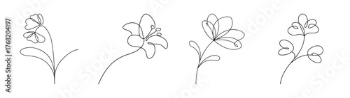 Delicate sketch of coral bells flowers in outline artistic style