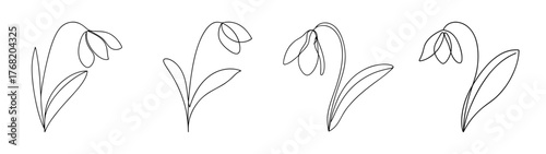 Delicate pencil sketch of four snowdrop flowers detailed petals delicate leaves spring blooms