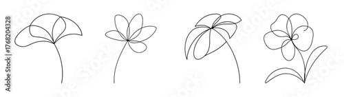 Four delicate line art flower drawings showing petal details