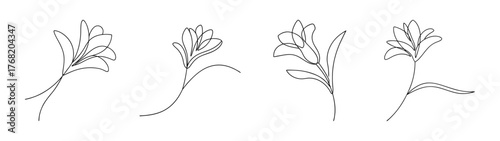 Photos Delicate tuberose flower line art details elegant floral sketch design elements