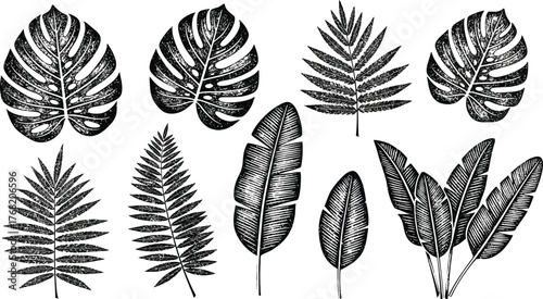 Collection of various tropical palm leaves and jungle foliage in a distressed black and white graphic style