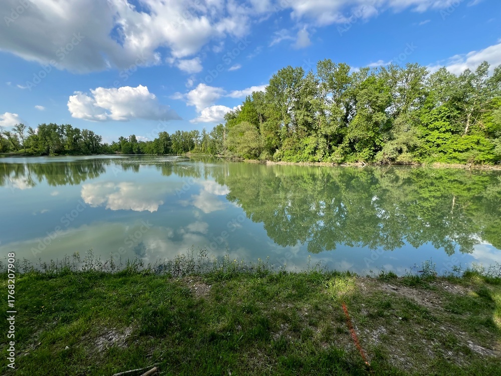 Fototapeta premium Special ornithological reserve Sava - Strmec and fishing area of ​​Lakes Strmec (Croatia) - Posebni ornitološki rezervat Sava – Strmec i ribolovna zona jezera Strmec (Sveta Nedelja, Hrvatska)