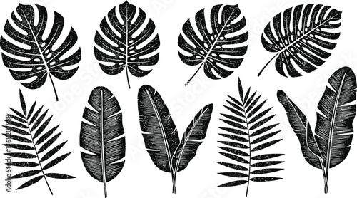 Collection of various tropical palm leaves and jungle foliage in a distressed black and white graphic style