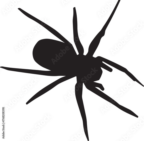 Black Spider Silhouette - Black Spider Silhouette for Halloween Decorations
