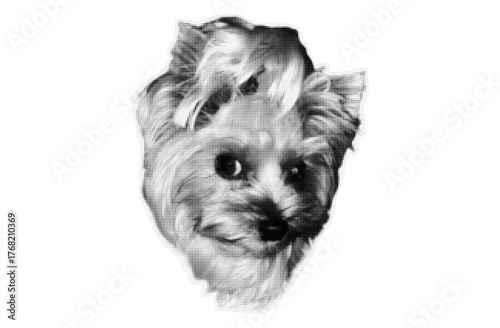 Paper sticker of a dog's head. Collage, uneven element cut out from a magazine. Photocopy of dog in halftone style, animal muzzle. Sticker of puppy, pet. Contemporary art, dot texture piece of paper.