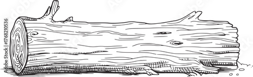 Detailed black and white line drawing of a fallen tree trunk fallen log wood grain