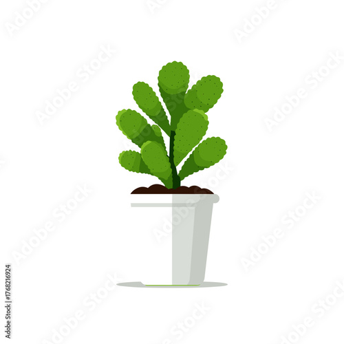 Green cactus plant in white pot on white background, minimal and modern vector houseplant illustration