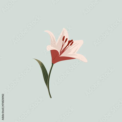 Pink lily flower with a red center and green leaf on a soft pastel background, elegant minimal botanical vector illustration