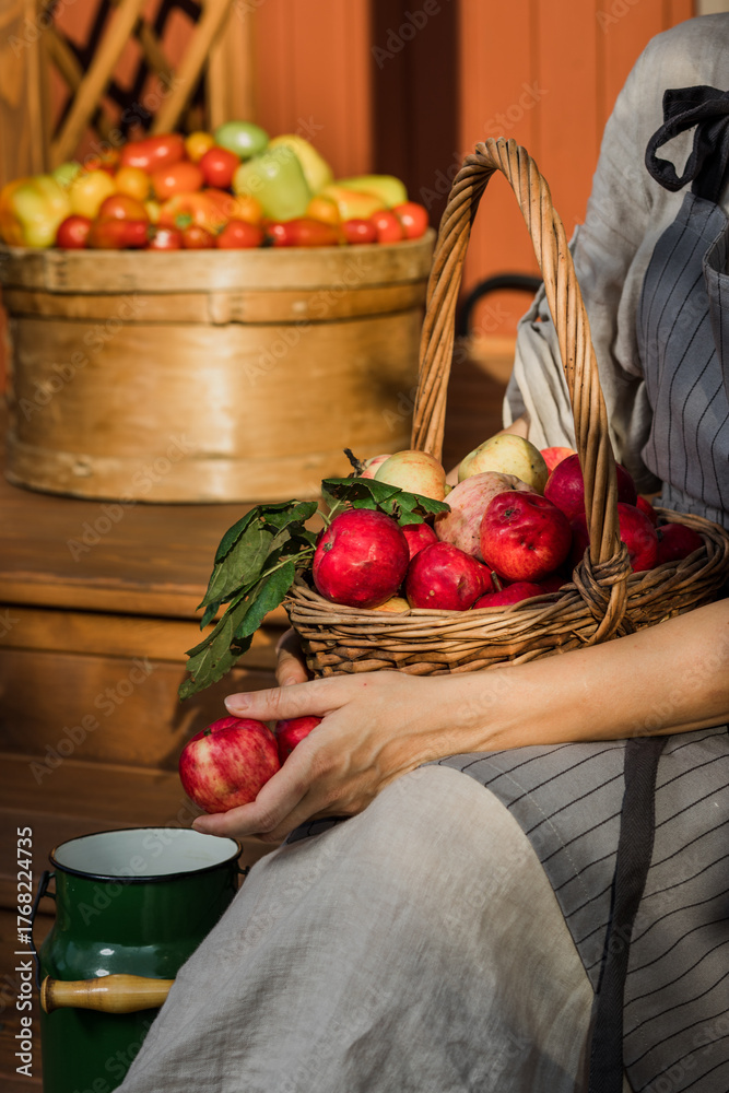 custom made wallpaper toronto digitalwoman holds basket with juicy apples in the garden