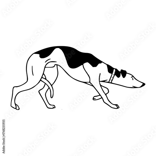 sighthound dog striding profile vector illustration