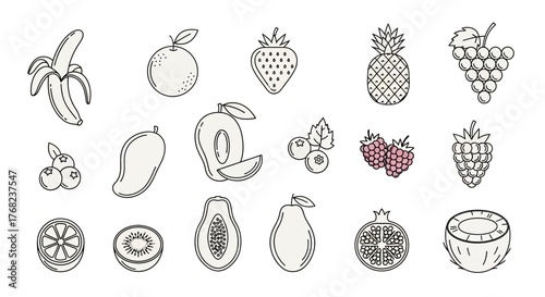 Line Art of Various Fruits in a Simple and Modern Design Style Illustration