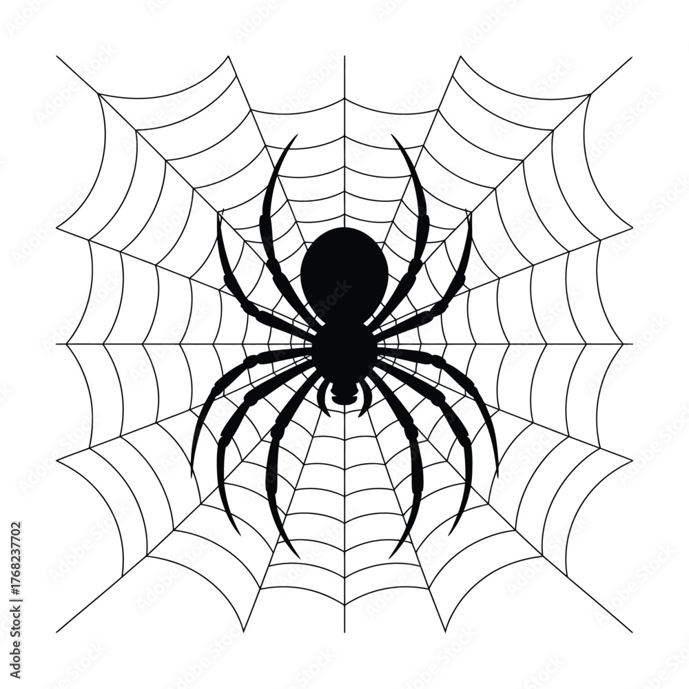 Fototapeta premium Spider on web Silhouette, Vector, Illustration
