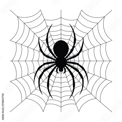 Spider on web Silhouette, Vector, Illustration